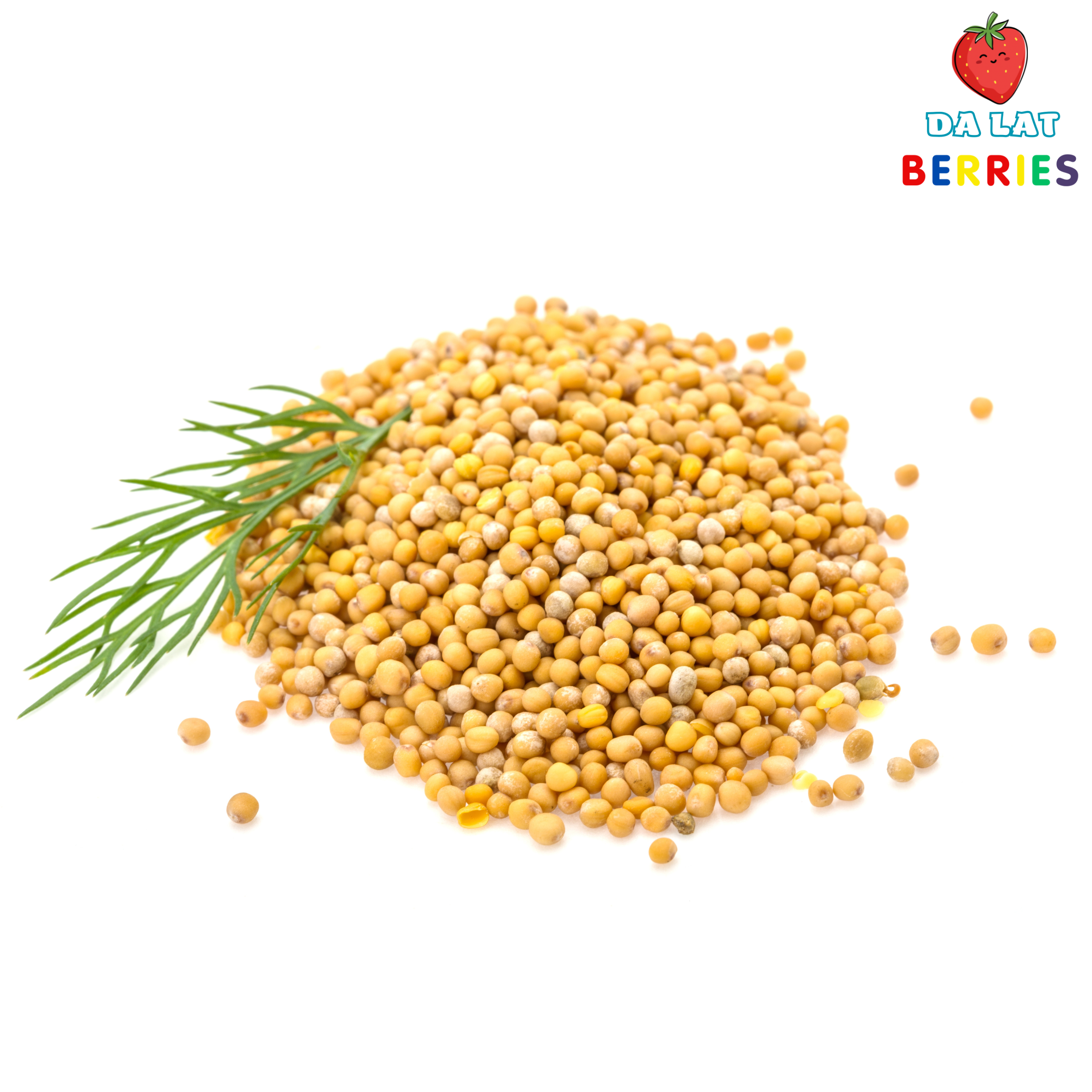 Hạt mù tạt vàng