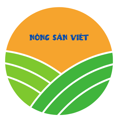  Dalat Berries – Vị ngọt từ đất lành 